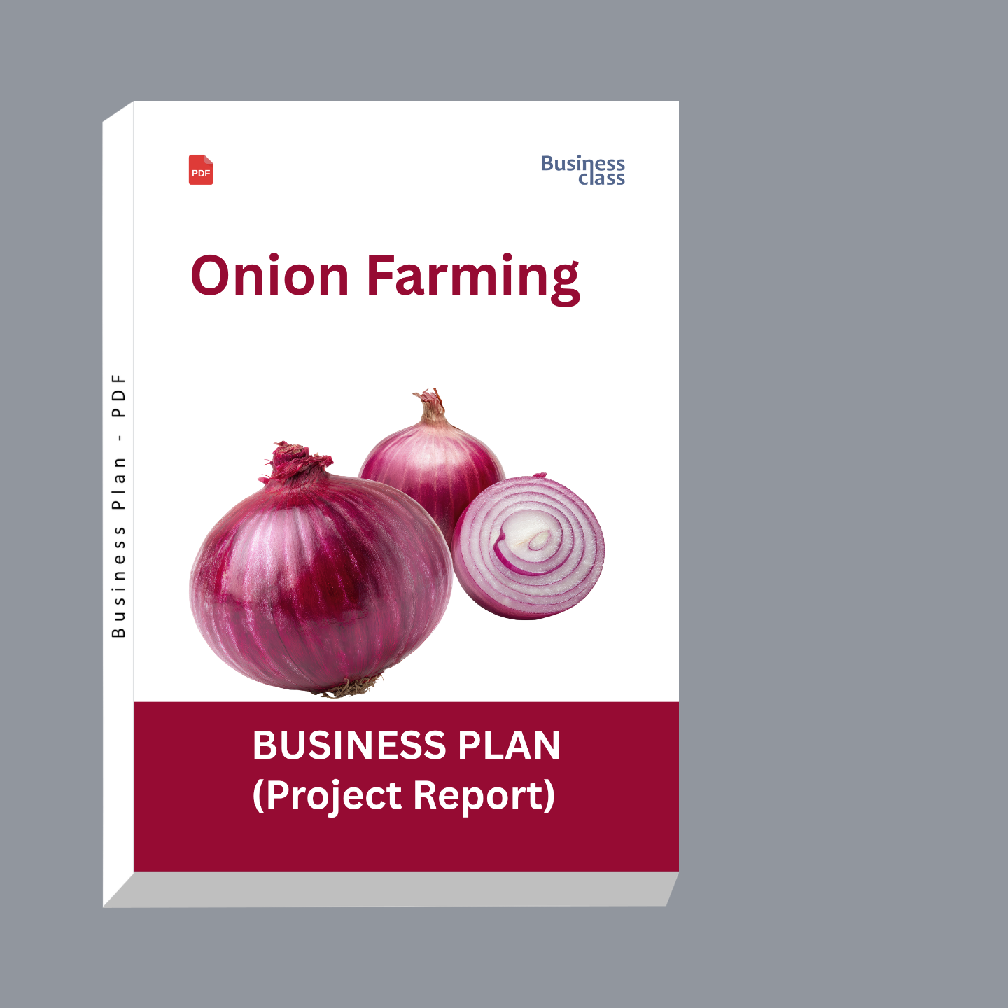 Onion Farming Project Report and Business Plan PDF Ebook | Cost, Profit, Cash Flow & Bank Loan Guide