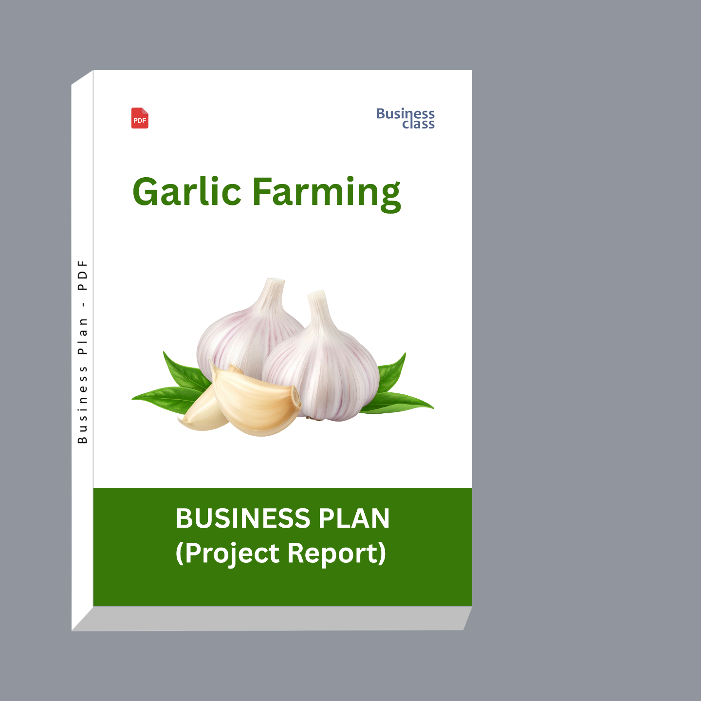 Garlic Farming Project Report & Business Plan PDF eBook | Cost, Profit, Feasibility, Financial Projections