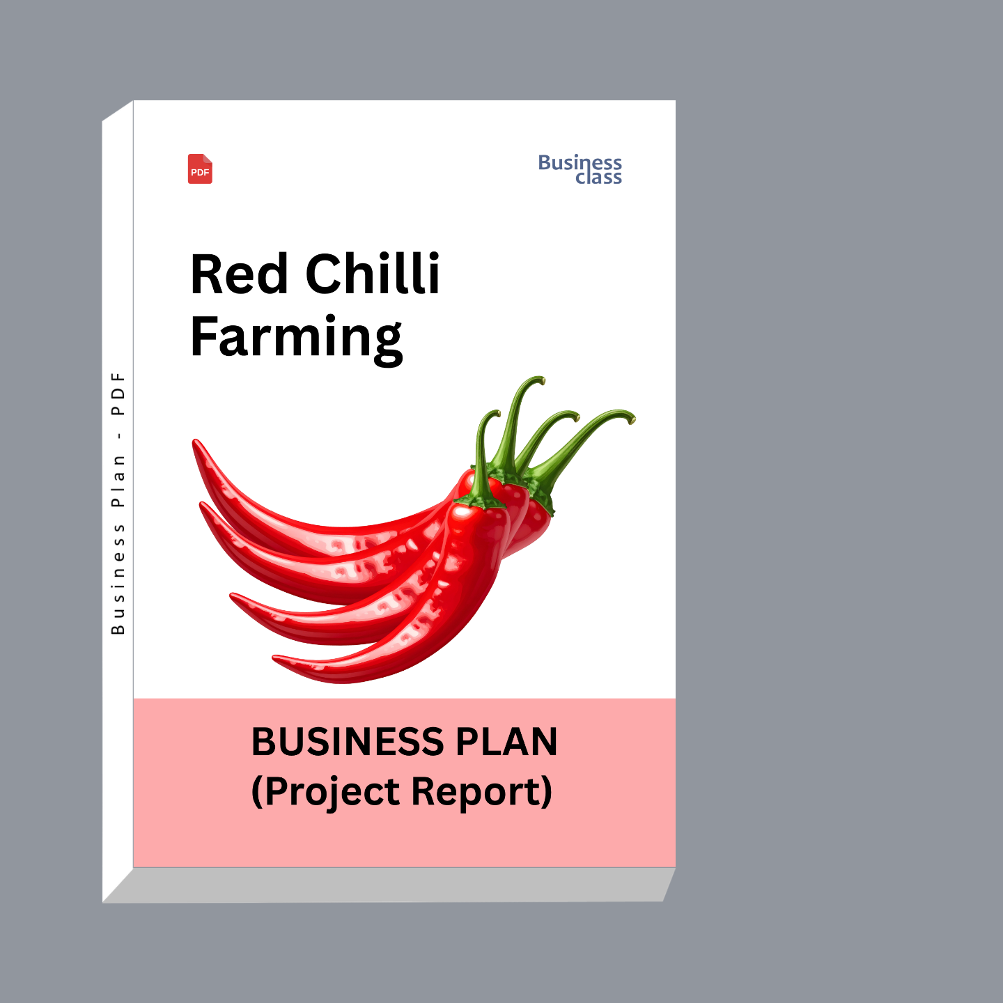 Red Chilli Farming Project Report & Business Plan PDF