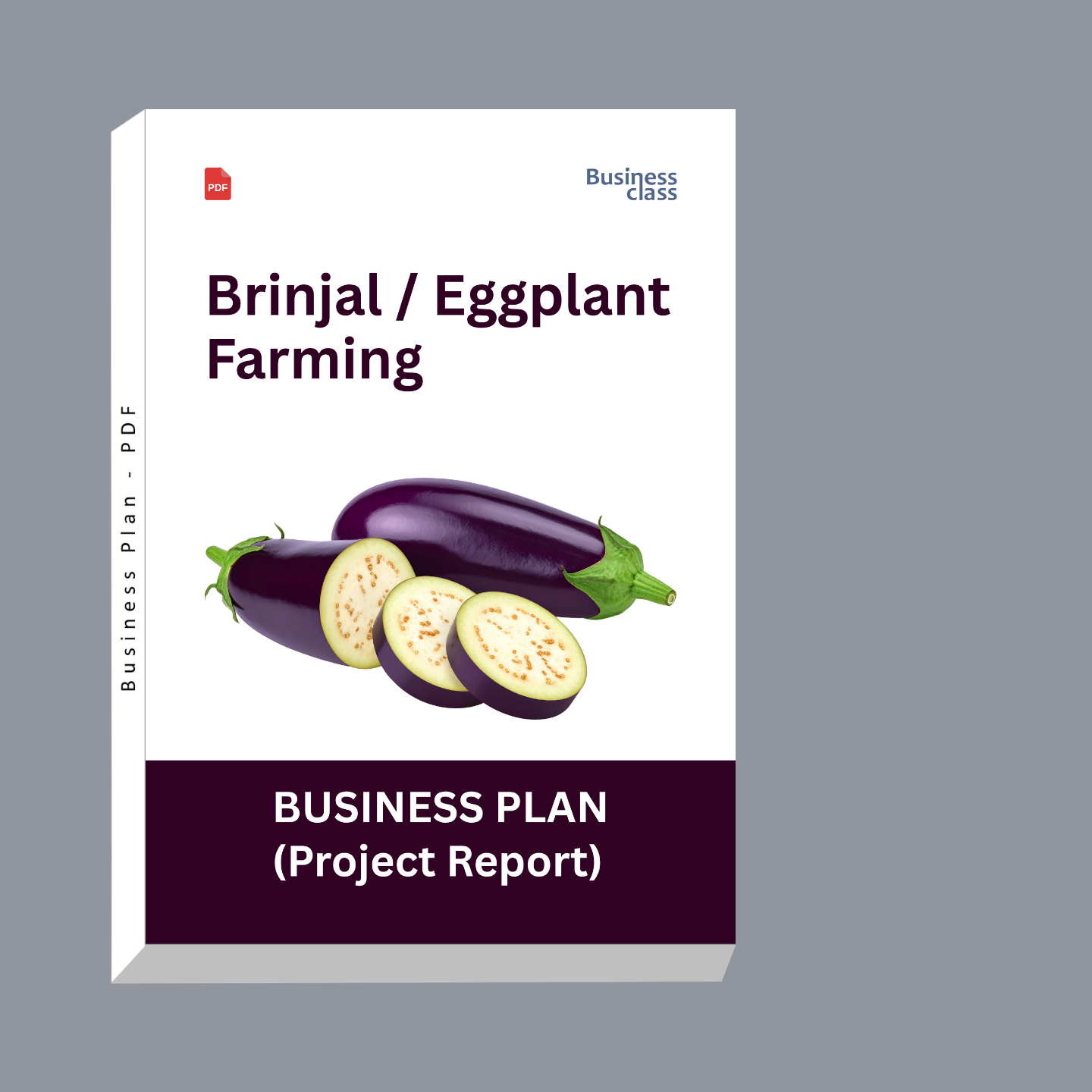 Brinjal / Eggplant Farming Project Report and Business Plan PDF Guide