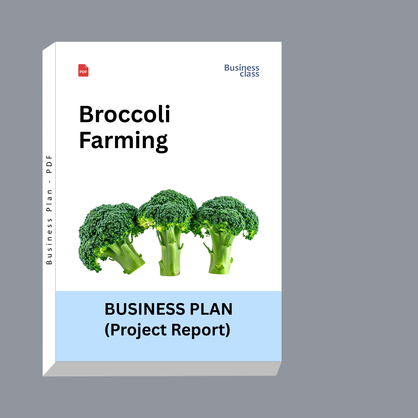Broccoli Farming Project Report & Business Plan PDF | Cost of Cultivation, Profitability and Financial Projections