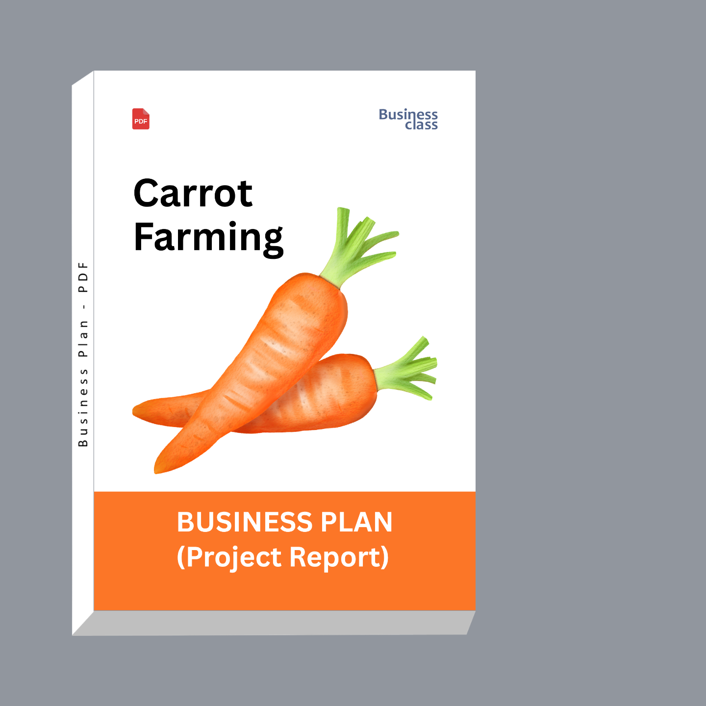 Carrot Farming Project Report & Business Plan PDF eBook | Cost, Profit, Yield, Financial Plan