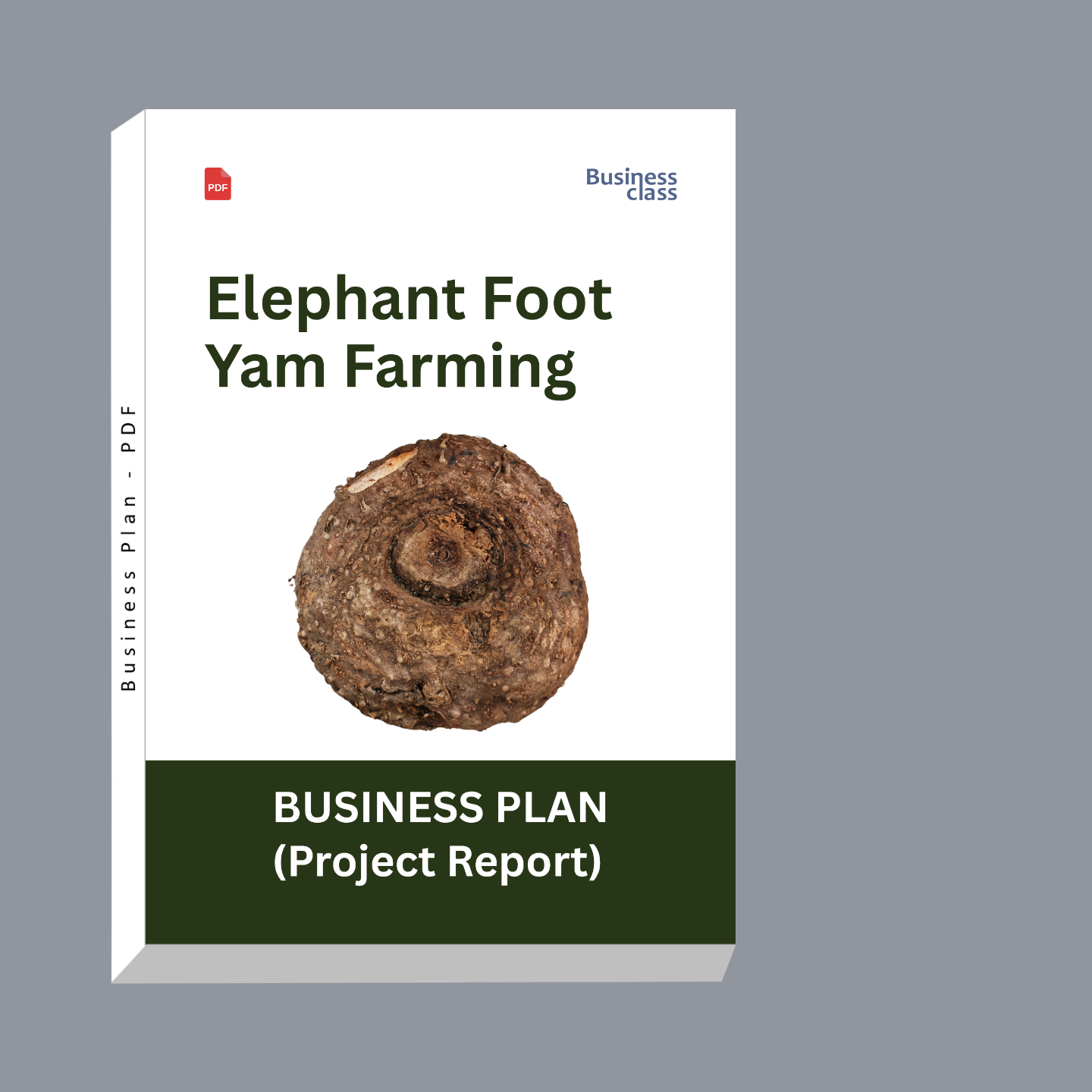 Elephant Foot Yam Farming Project Report & Business Plan PDF Ebook