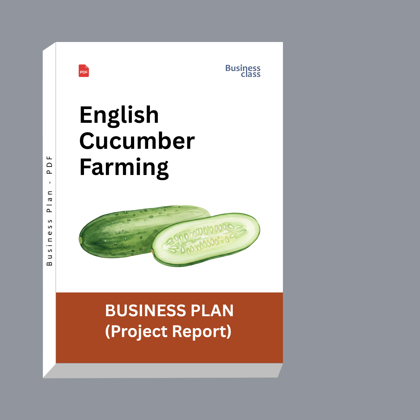 English Cucumber Farming Project Report & Business Plan PDF