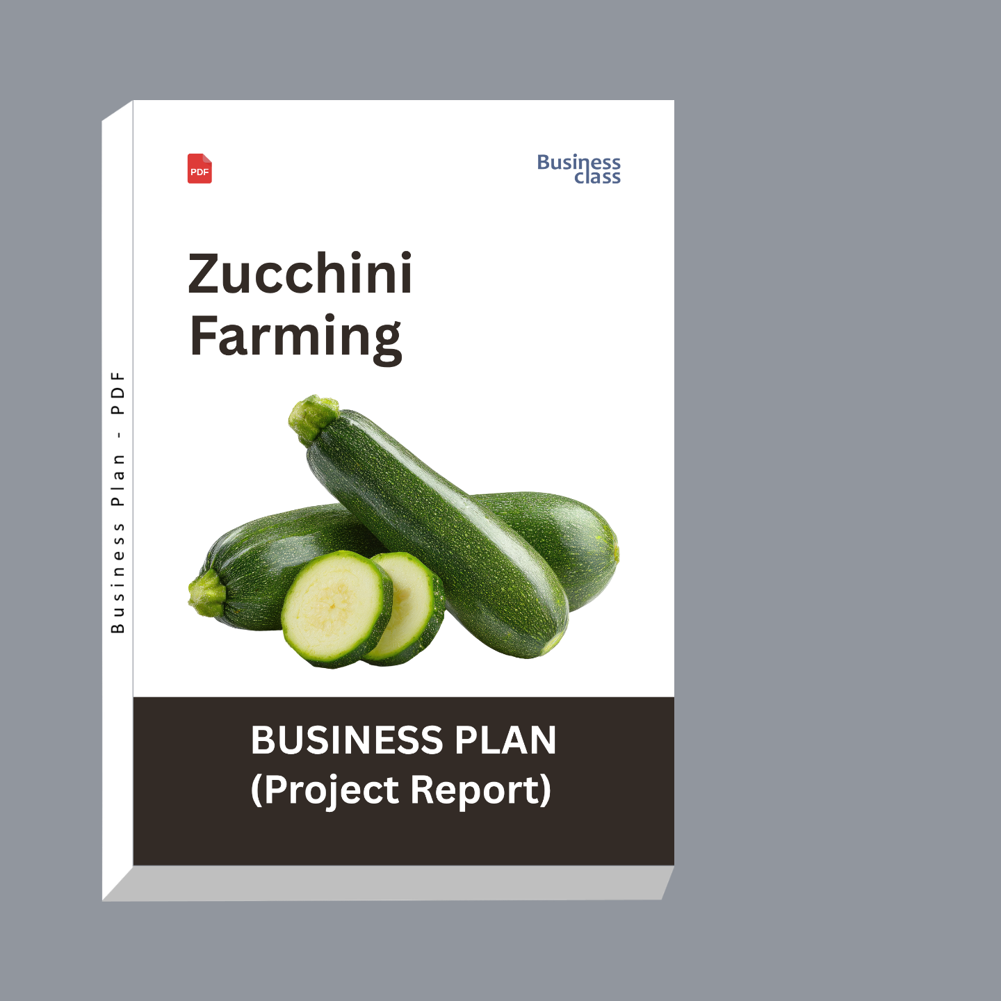 Zucchini Farming Project Report & Business Plan PDF eBook