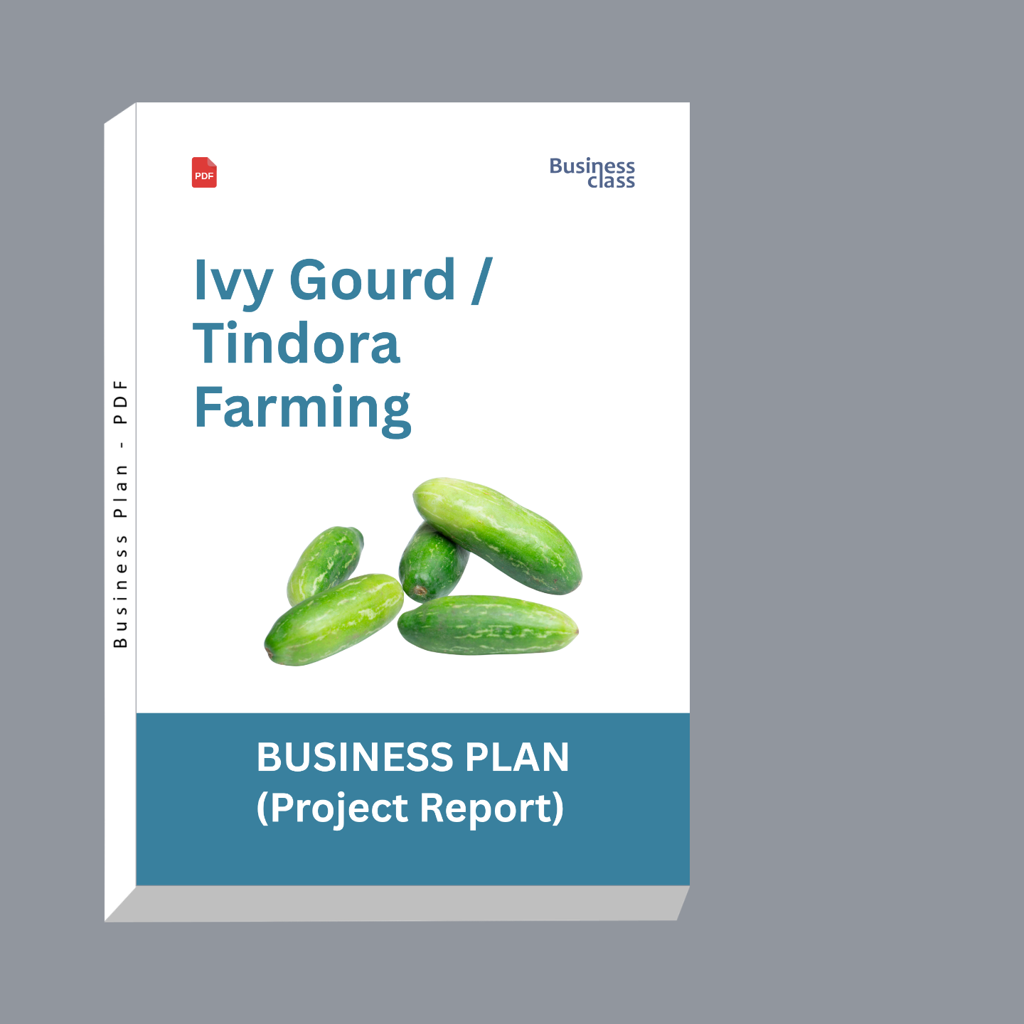 Ivy Gourd (Tindora) Farming Project Report and Business Plan PDF eBook