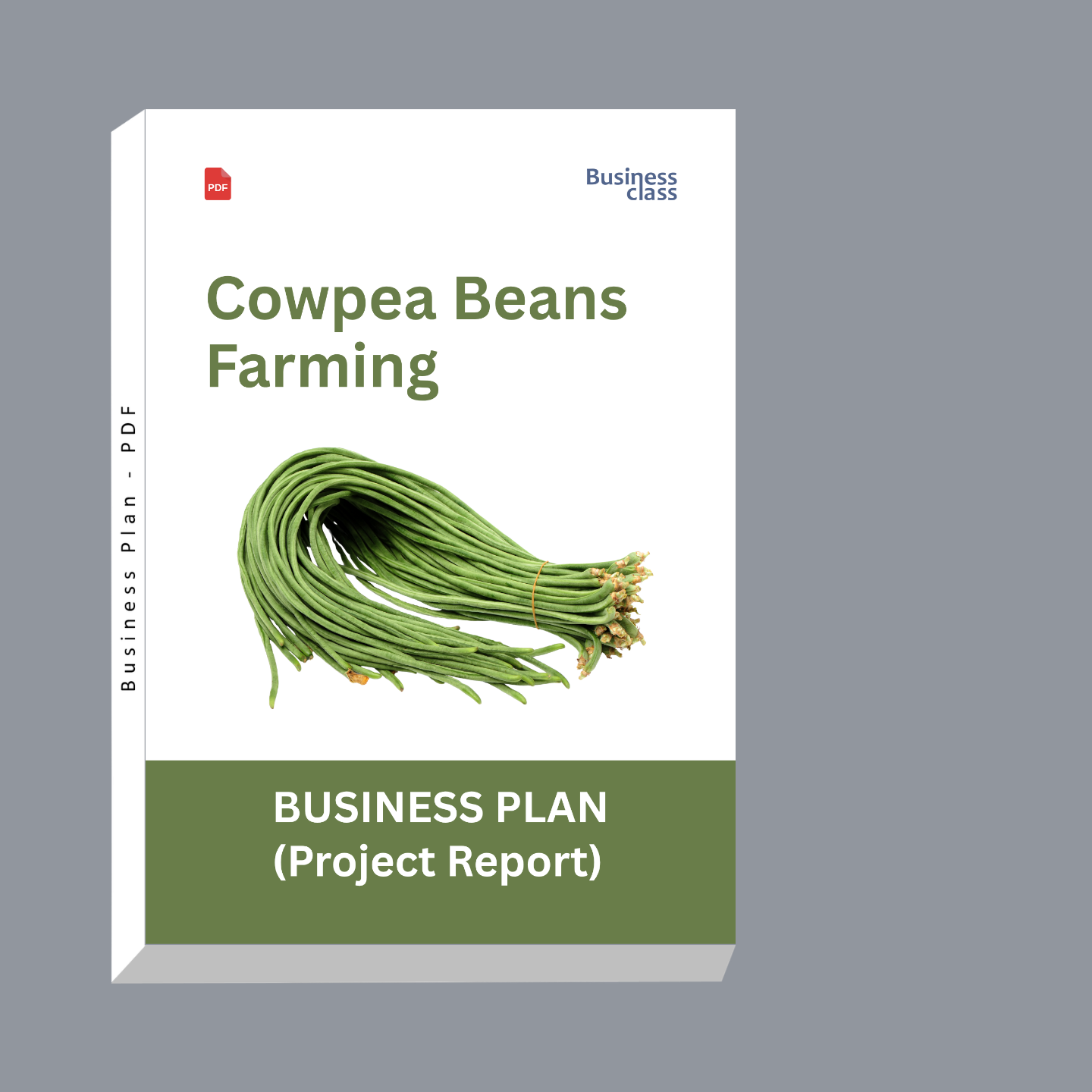 Cowpea Beans Farming Project Report and Business Plan PDF eBook