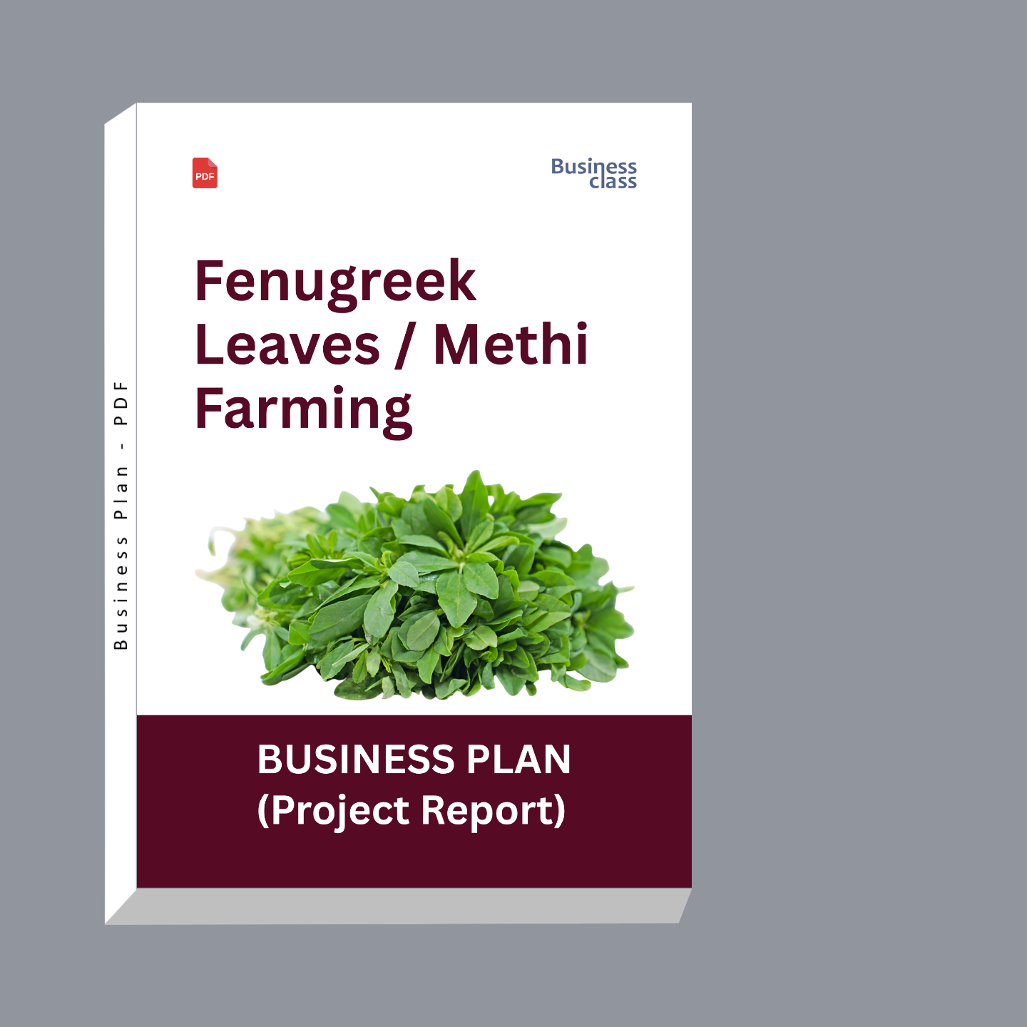 Fenugreek Leaves (Methi) Farming Project Report & Business Plan PDF