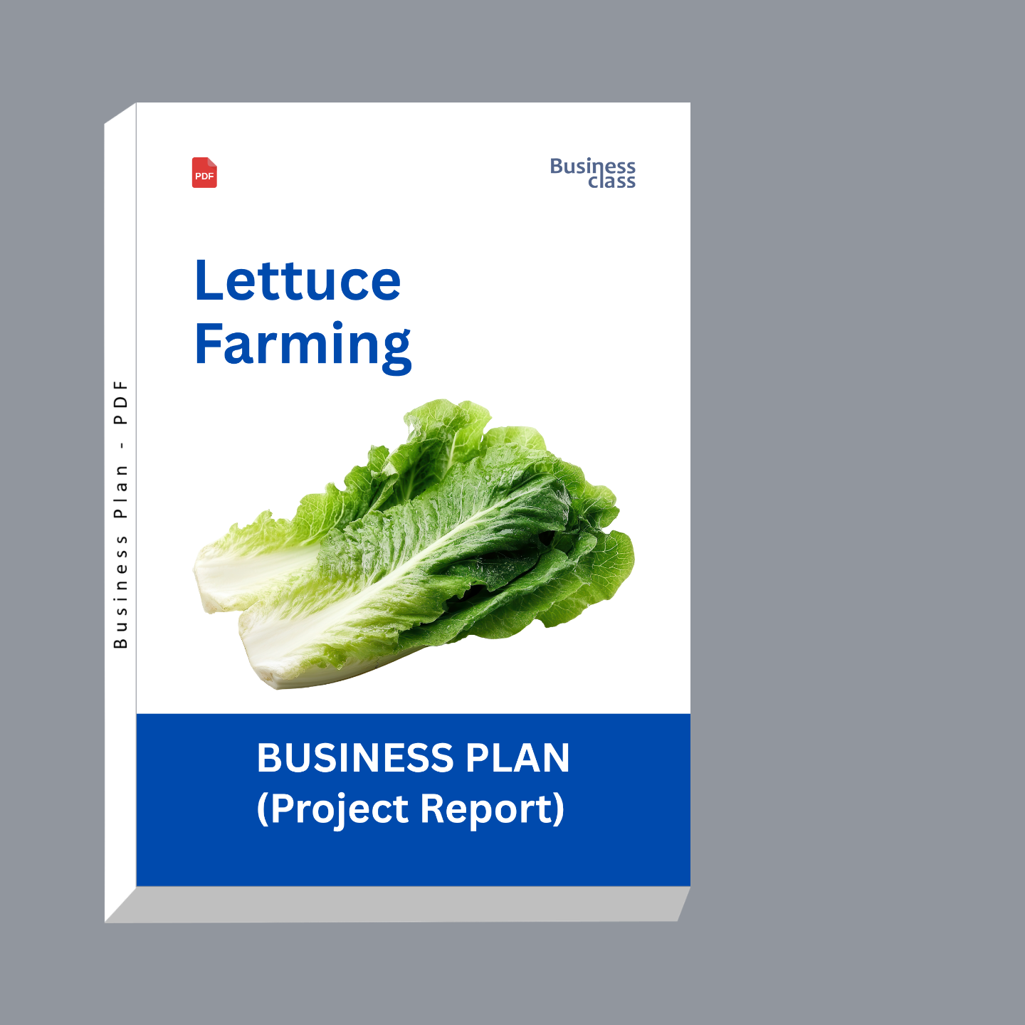 Lettuce Farming Project Report & Business Plan PDF eBook