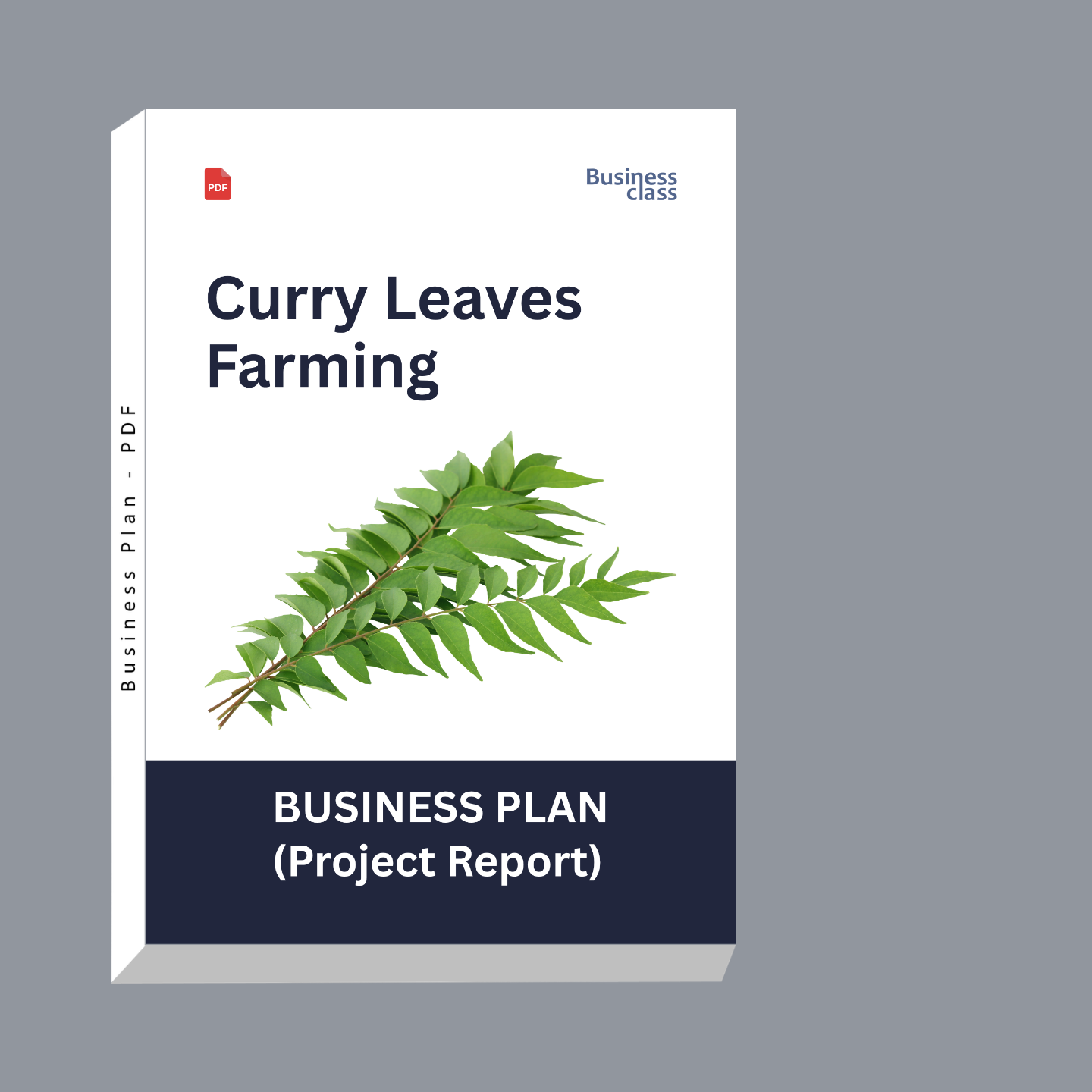 Curry Leaves Farming Project Report & Business Plan PDF eBook | Cost, Cultivation, Profit, Loan & Financial Projections