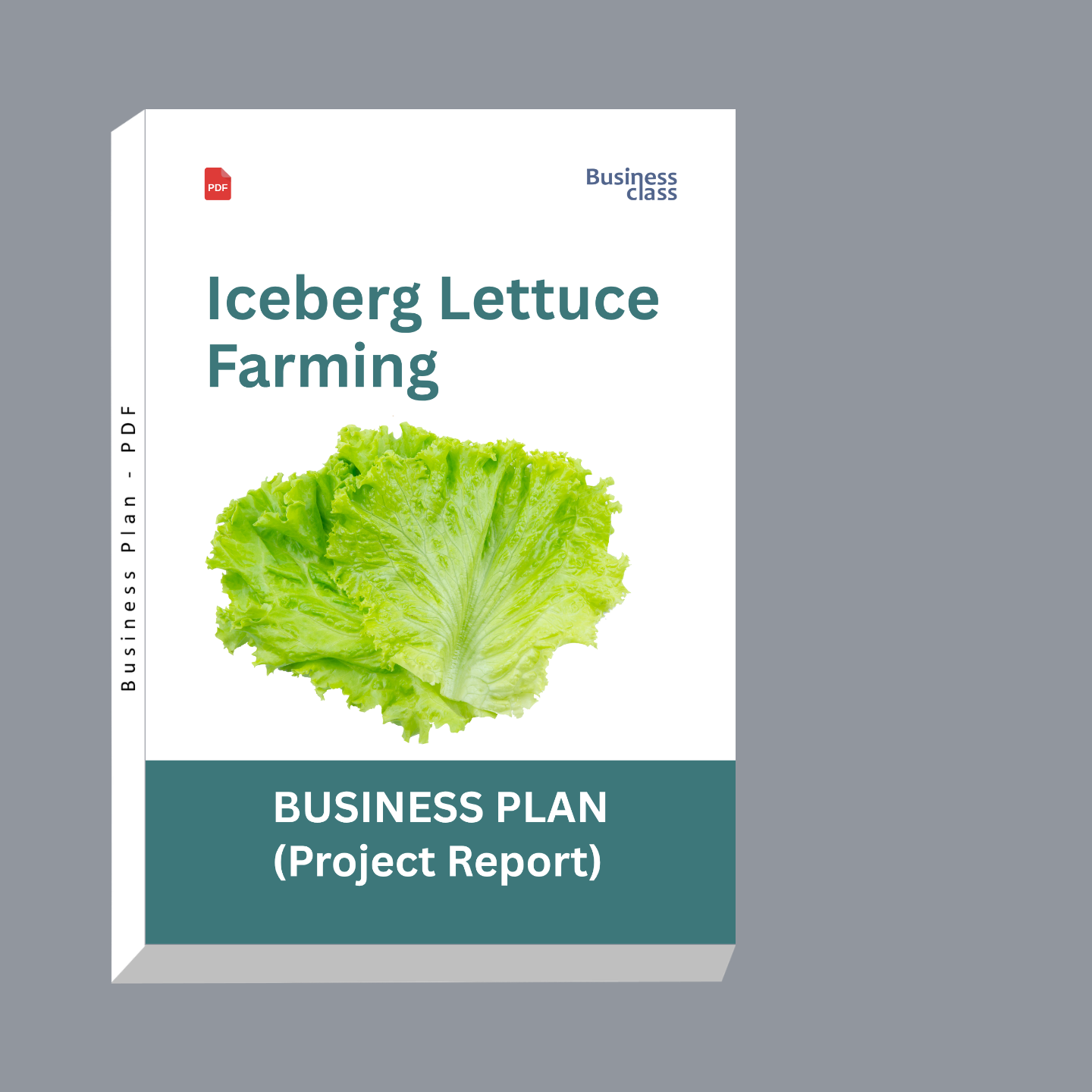 Iceberg Lettuce Farming Project Report & Business Plan PDF eBook