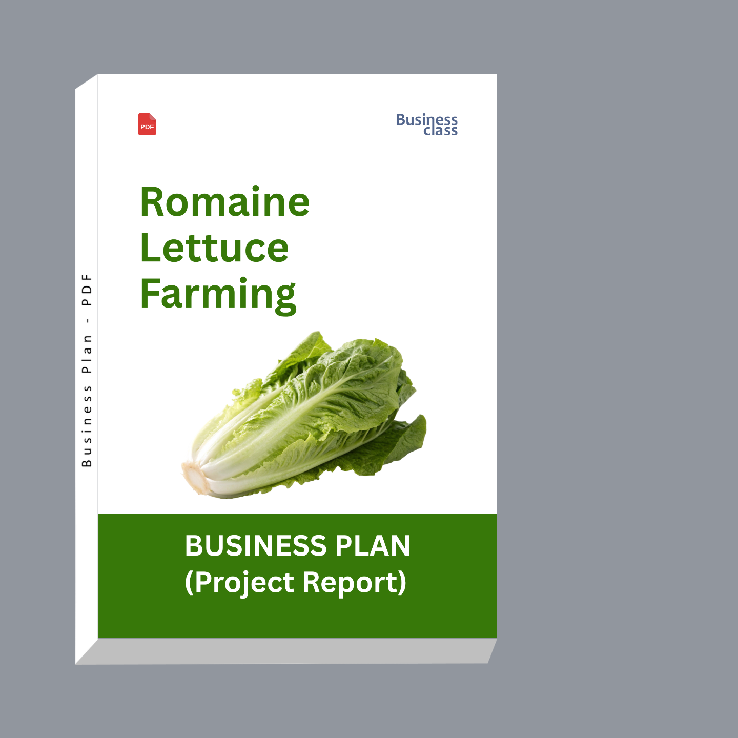 Romaine Lettuce Farming Project Report & Business Plan PDF eBook