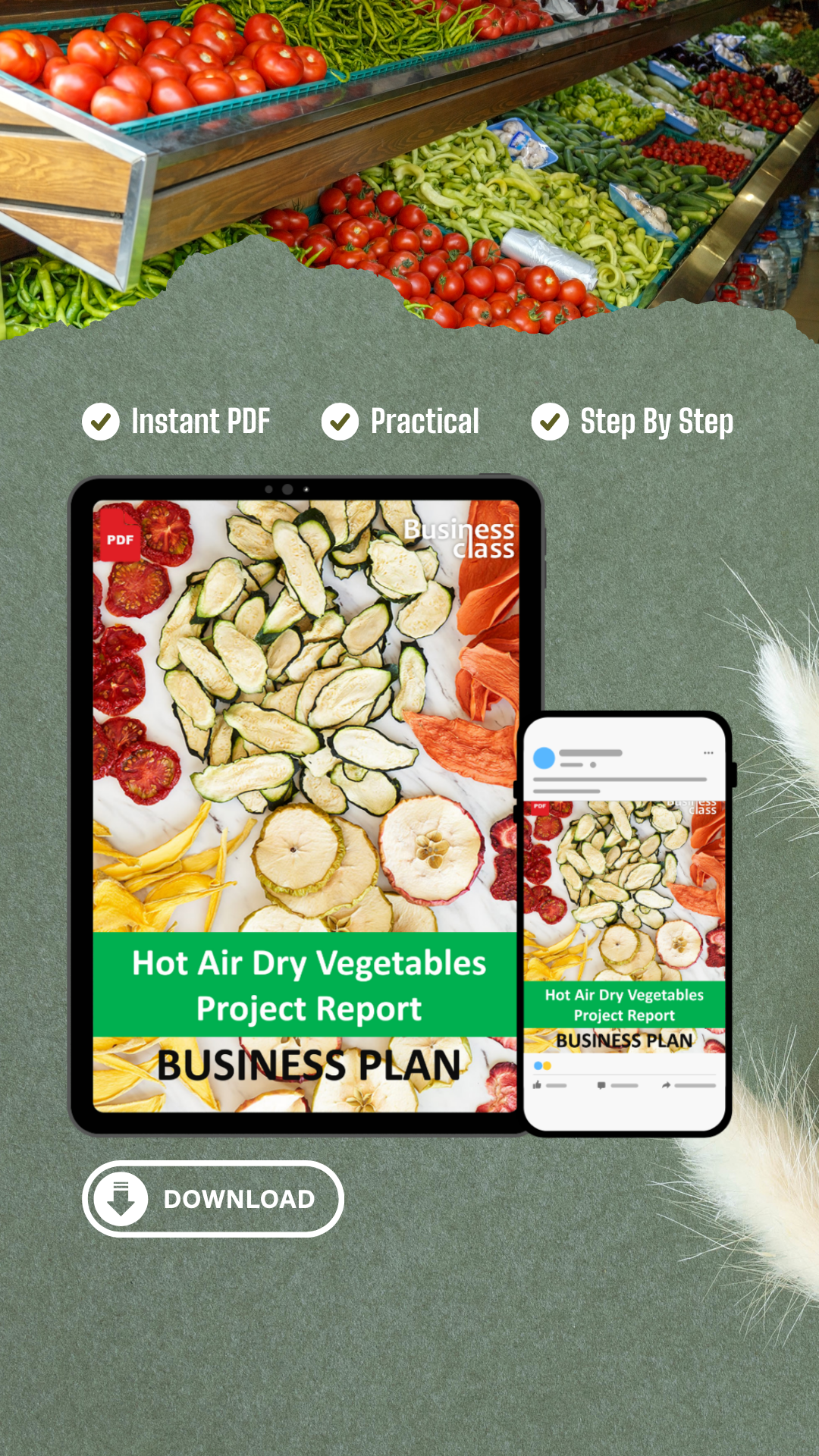 Hot Air Dry Vegetables Project Report and Business Guides Bundle