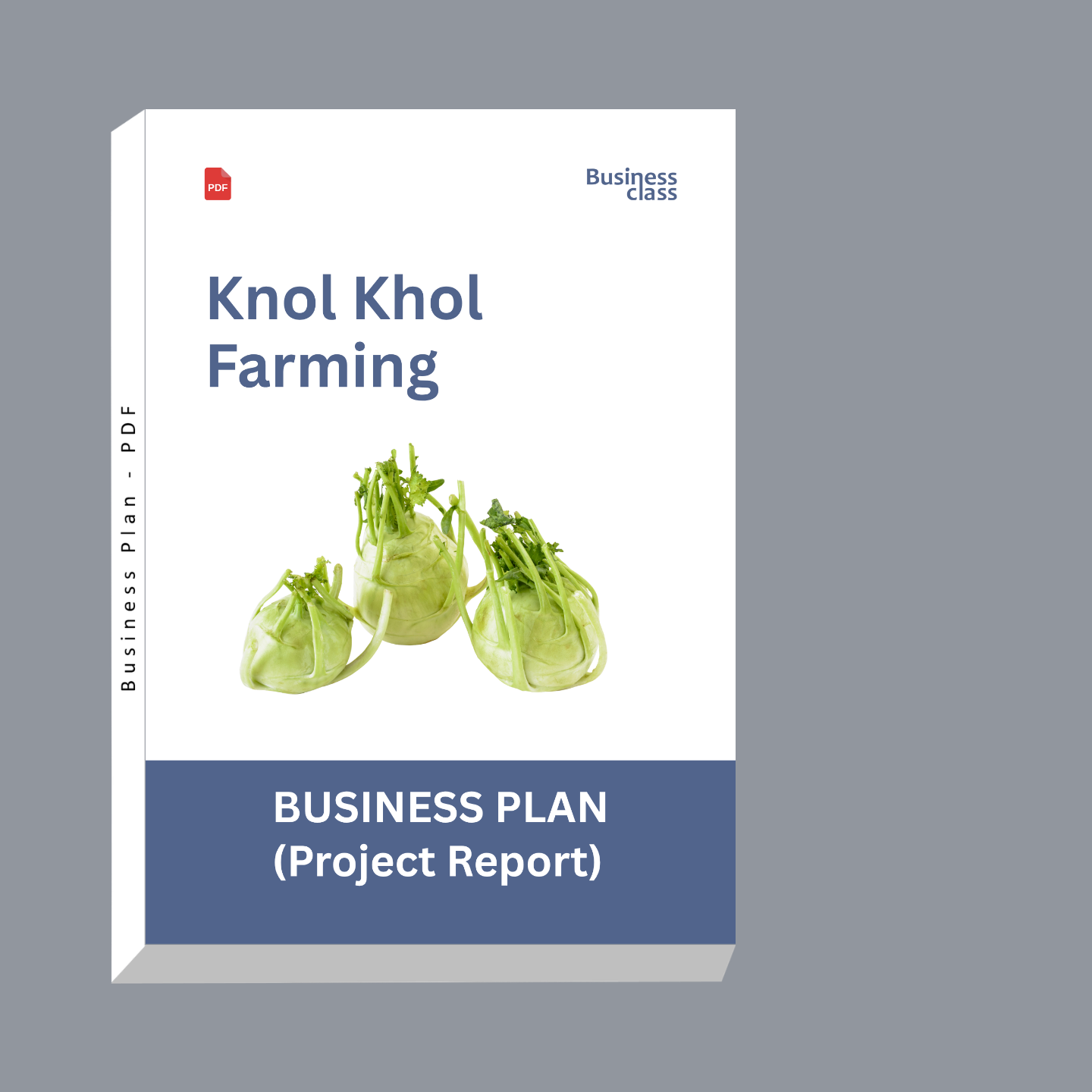 Knol Khol Farming Project Report & Business Plan PDF Ebook