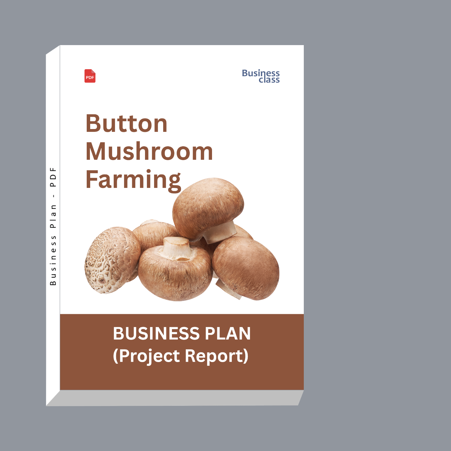 Button Mushroom Farming Project Report & Business Plan PDF eBook