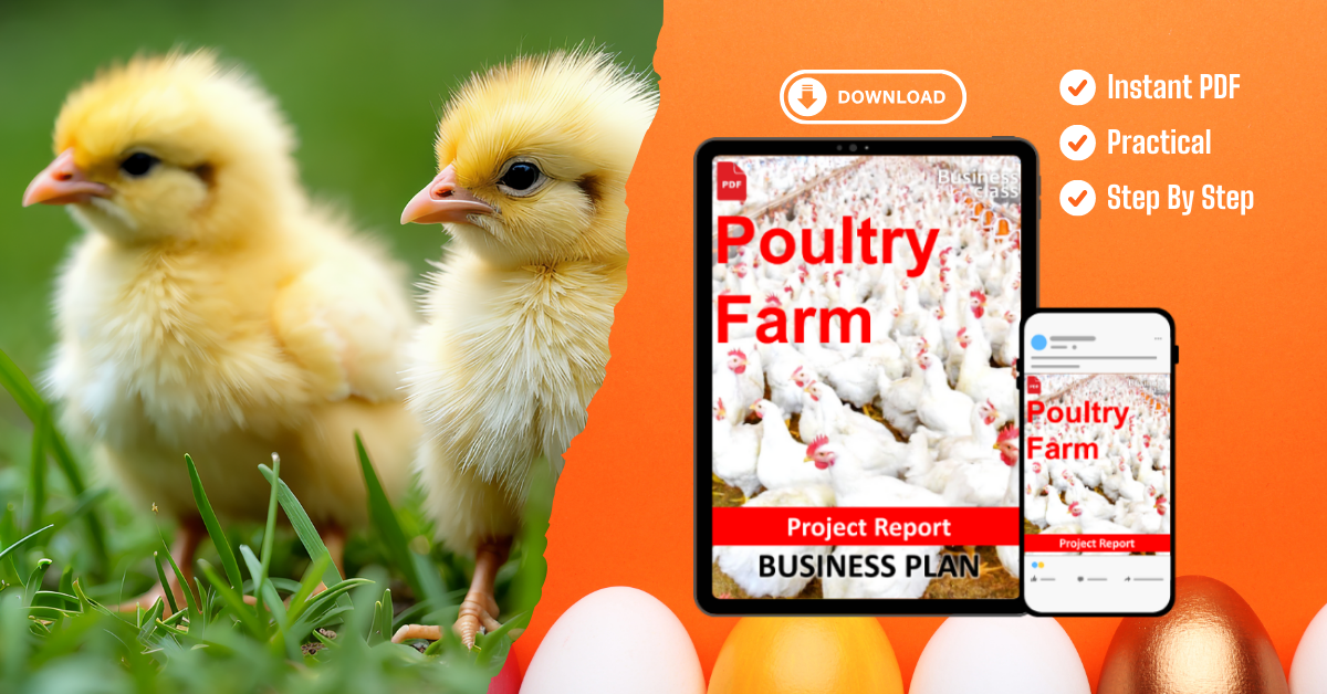 Poultry Farm Project Report and Business Guides Bundle
