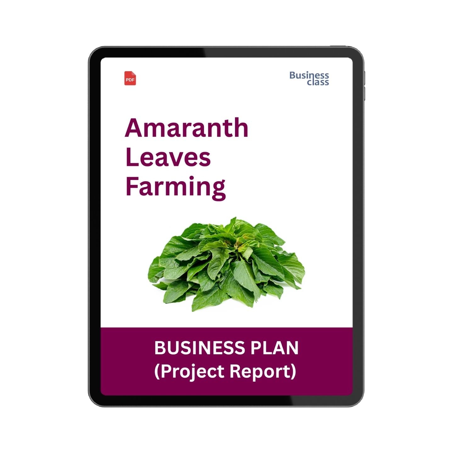 Amaranth Leaves Farming Business Plan Project Report PDF for India