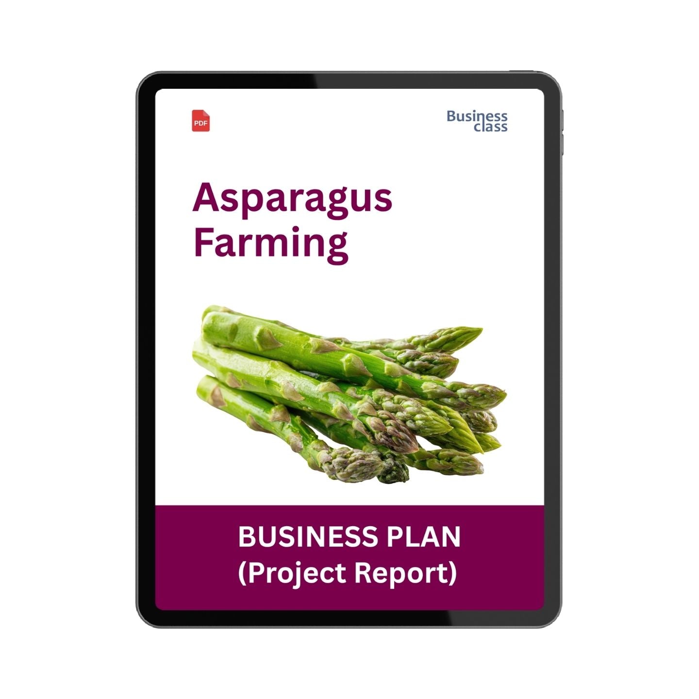 Asparagus Farming Project Report & Business Plan PDF eBook | Startup Cost, Profitability & Financial Projections