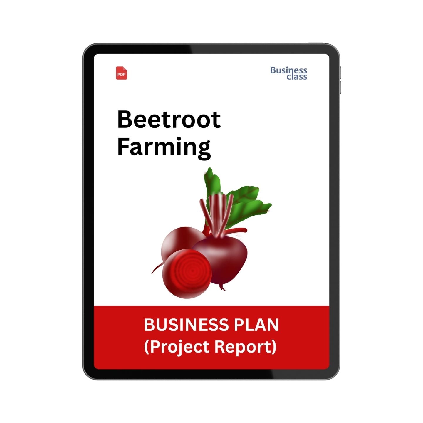 Beetroot Farming Project Report & Business Plan PDF
