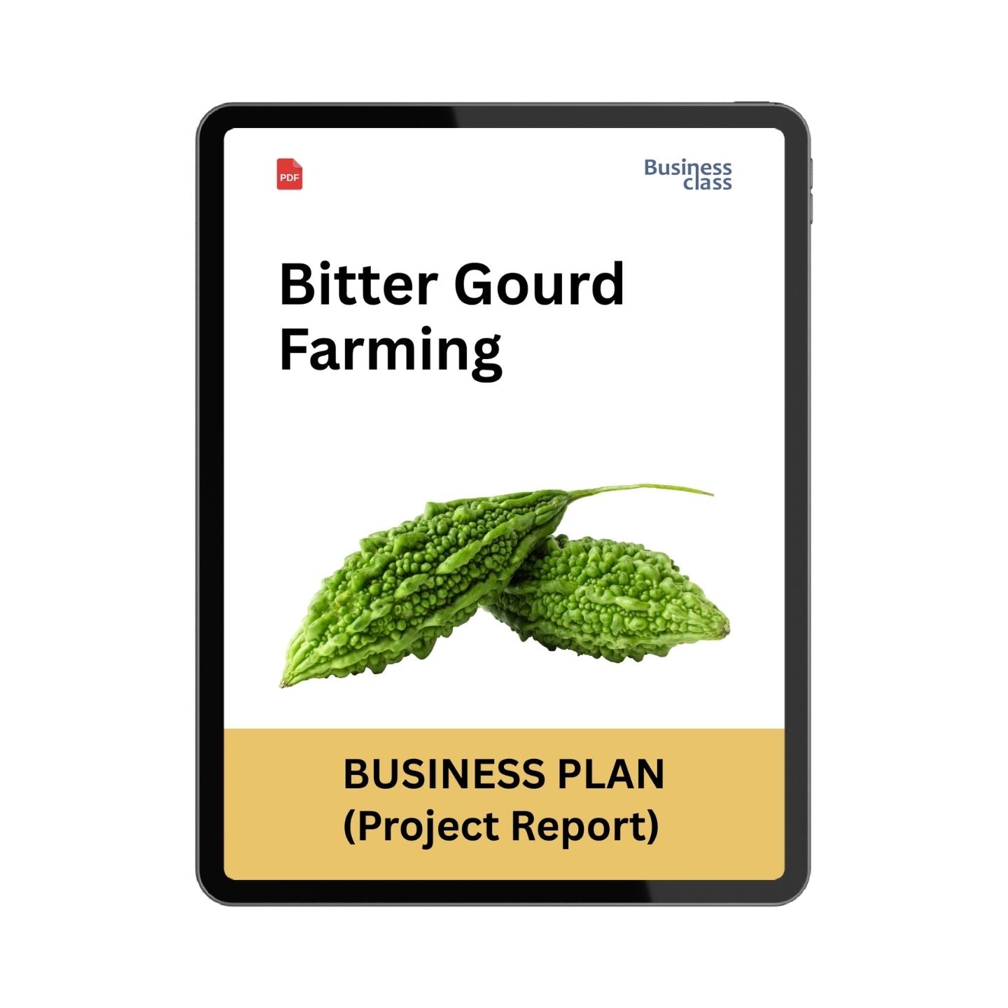 Bitter Gourd Farming Project Report and Business Plan PDF eBook | Karela / Bitter Melon Cultivation Guide