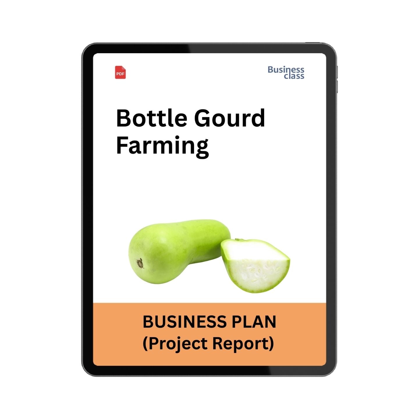Bottle Gourd Farming Project Report and Business Plan PDF eBook