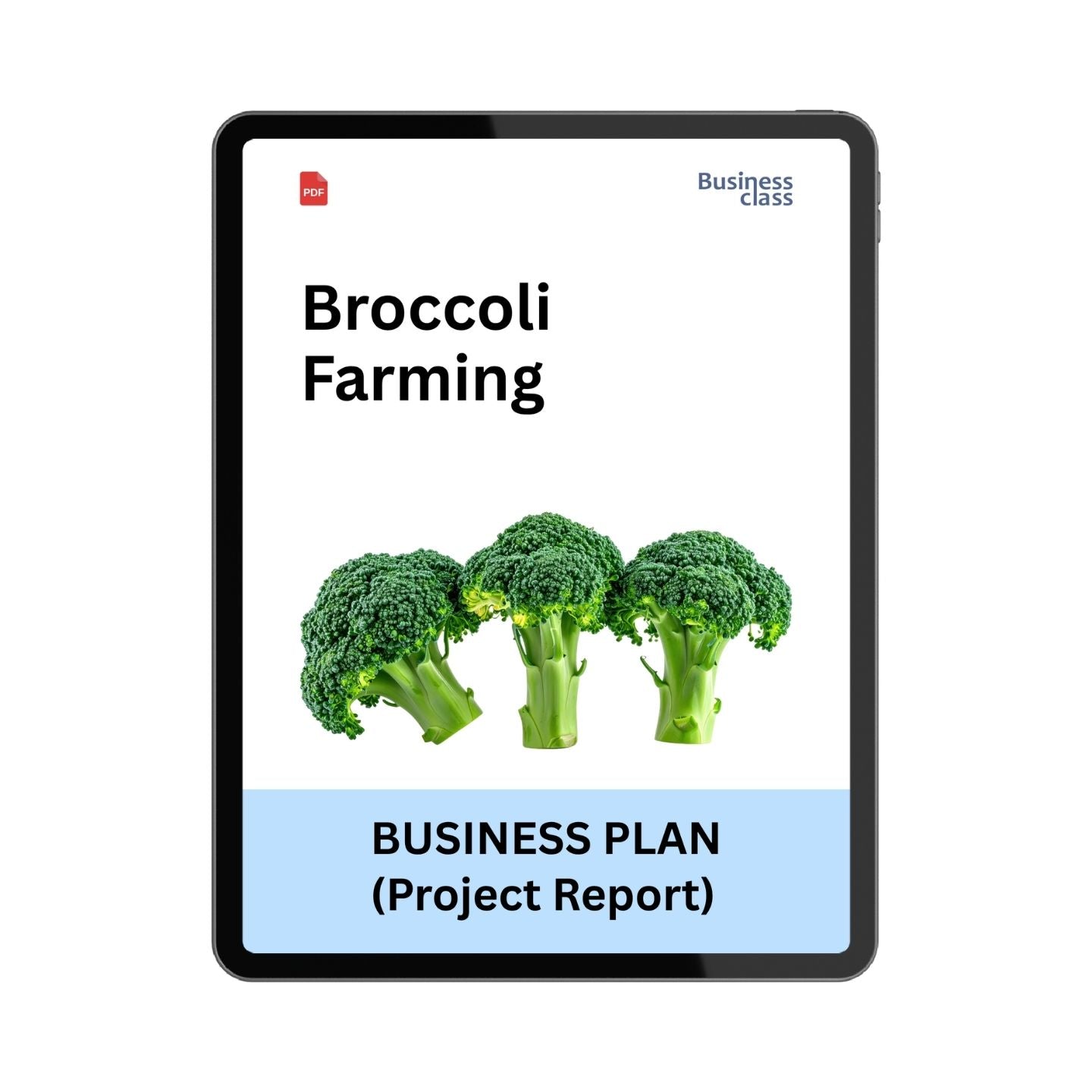 Broccoli Farming Project Report & Business Plan PDF | Cost of Cultivation, Profitability and Financial Projections