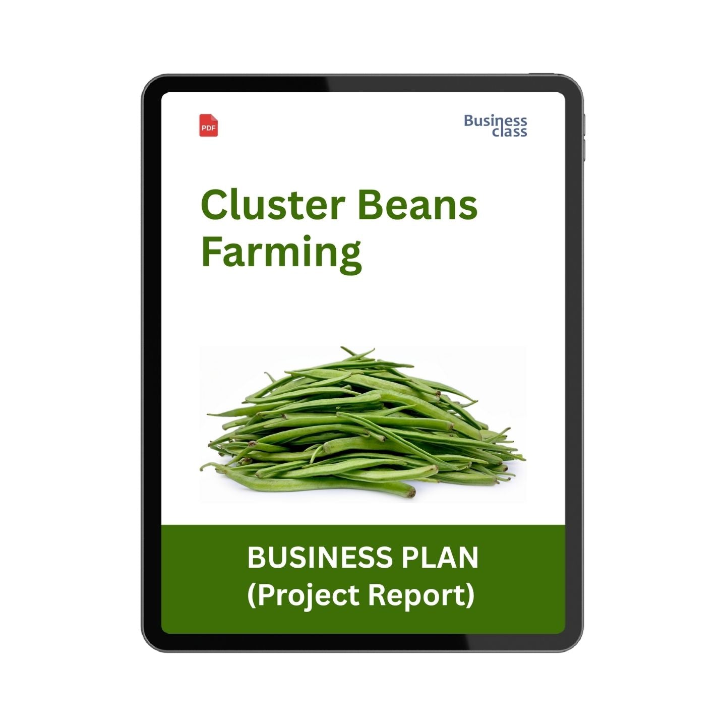 Cluster Beans Farming Project Report and Business Plan PDF eBook