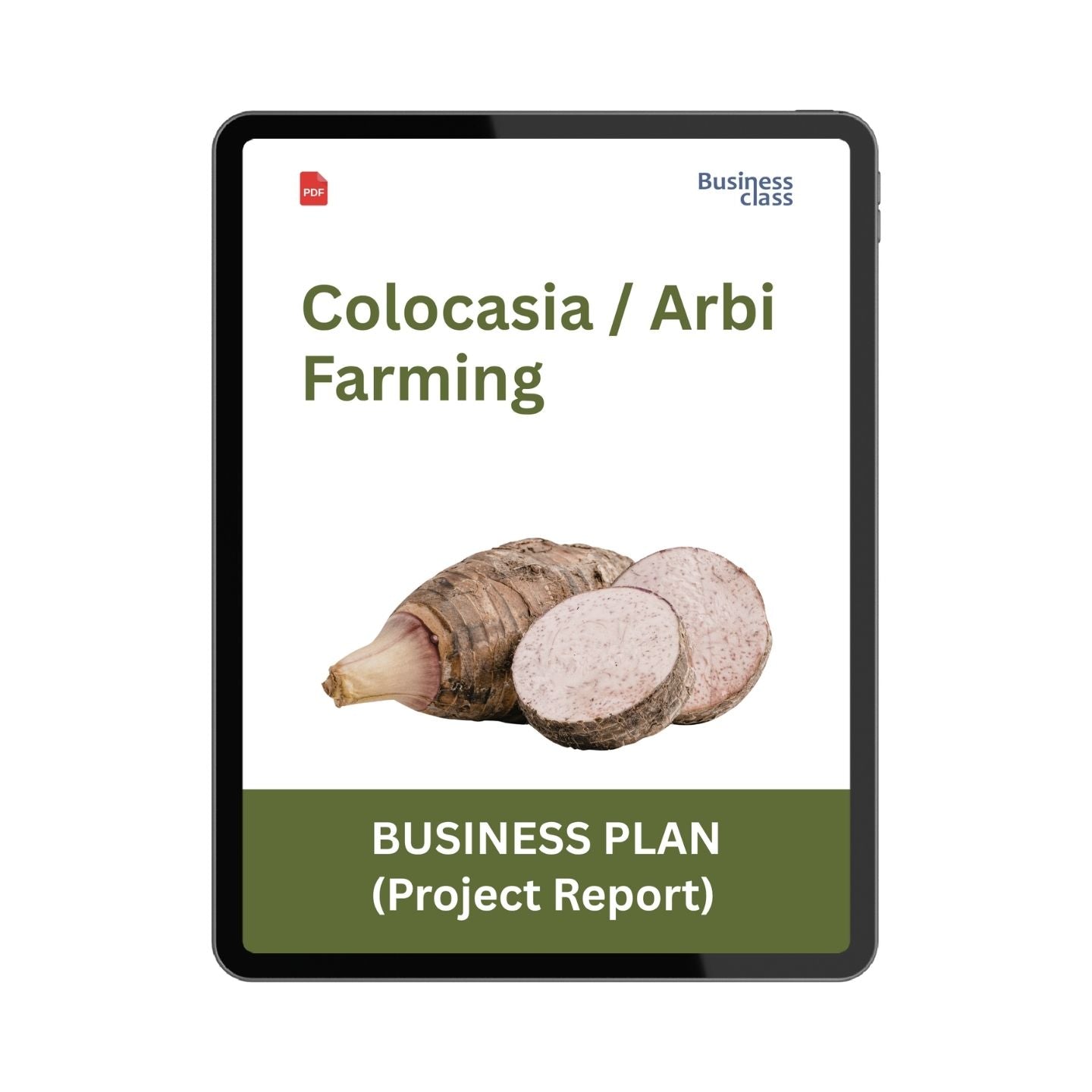 Colocasia (Arbi / Taro) Farming Project Report & Business Plan PDF