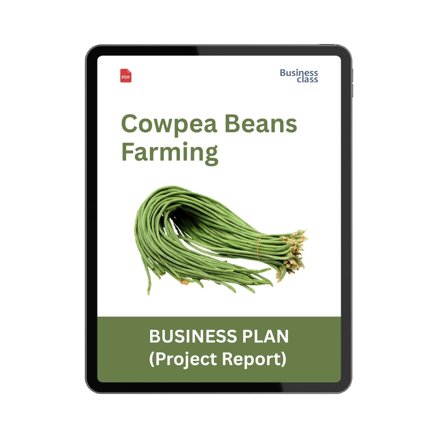 Cowpea Beans Farming Project Report and Business Plan PDF eBook