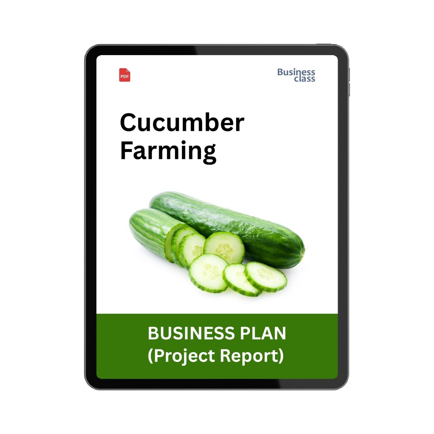 Cucumber Farming Project Report & Business Plan PDF eBook