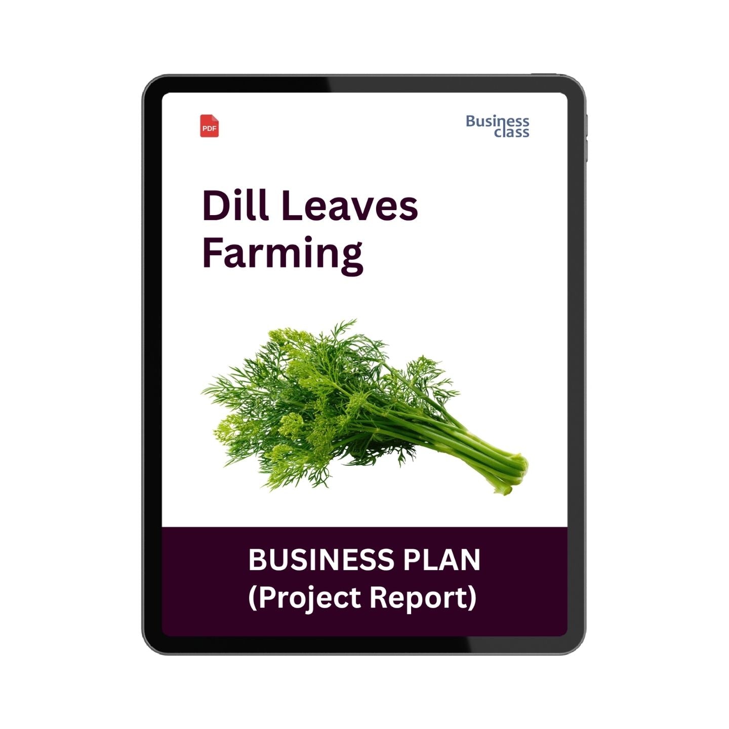 Dill Leaves Farming Project Report and Business Plan PDF eBook