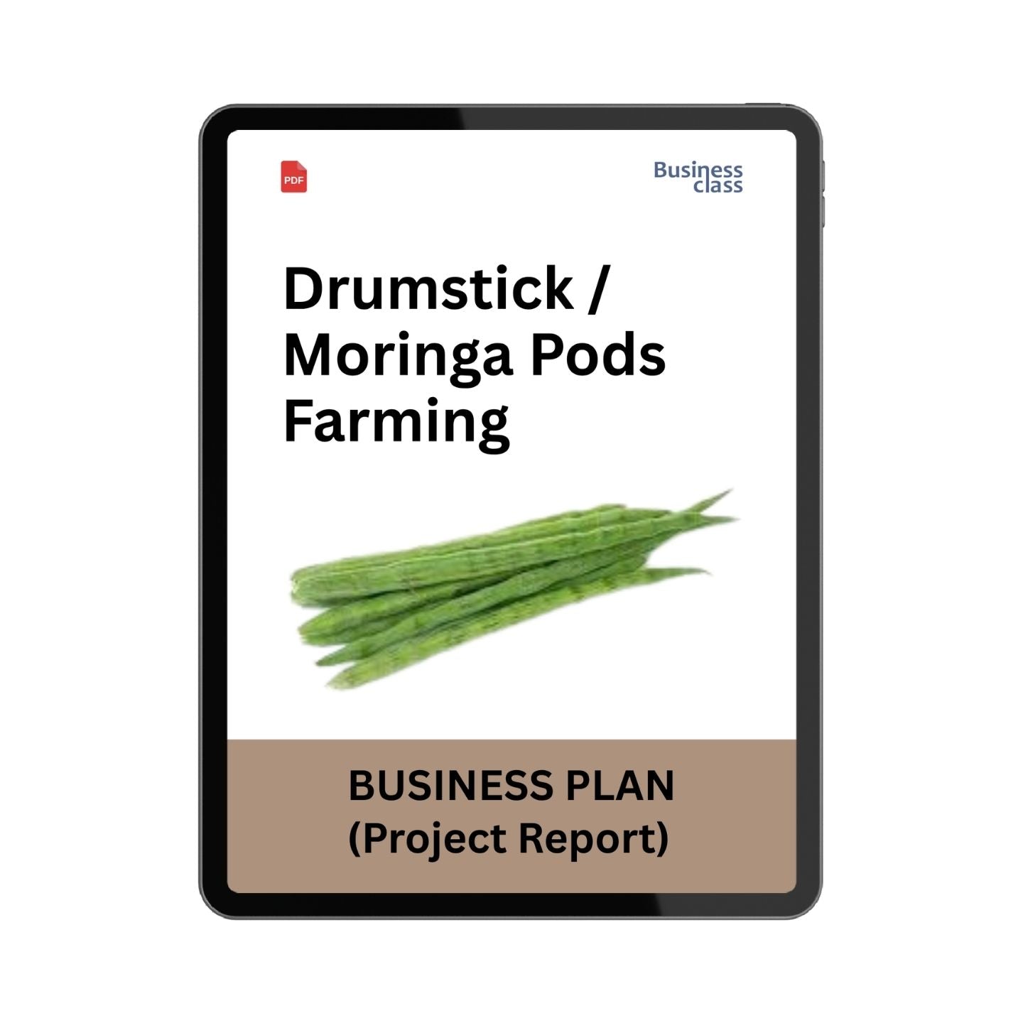 Drumstick / Moringa Pods Farming Project Report & Business Plan PDF eBook