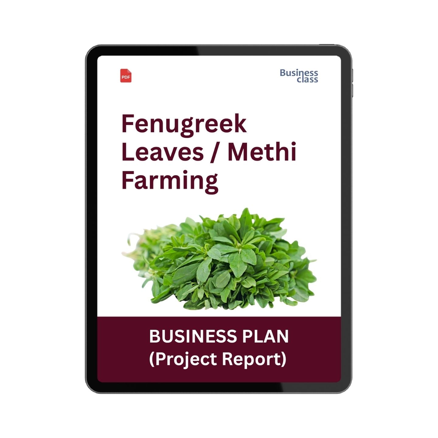 Fenugreek Leaves (Methi) Farming Project Report & Business Plan PDF