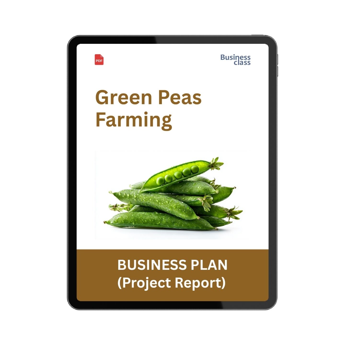 Green Peas Farming Project Report & Business Plan PDF | Cost, Yield, Profit, Cultivation and Bank Loan Guide