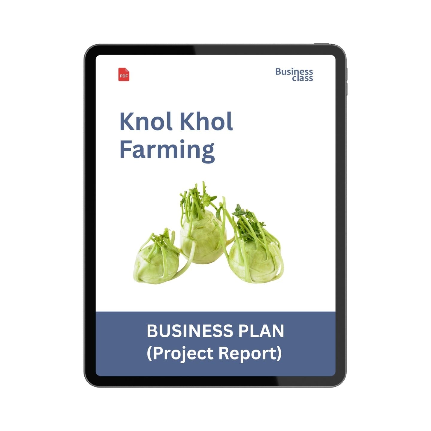 Knol Khol Farming Project Report & Business Plan PDF Ebook
