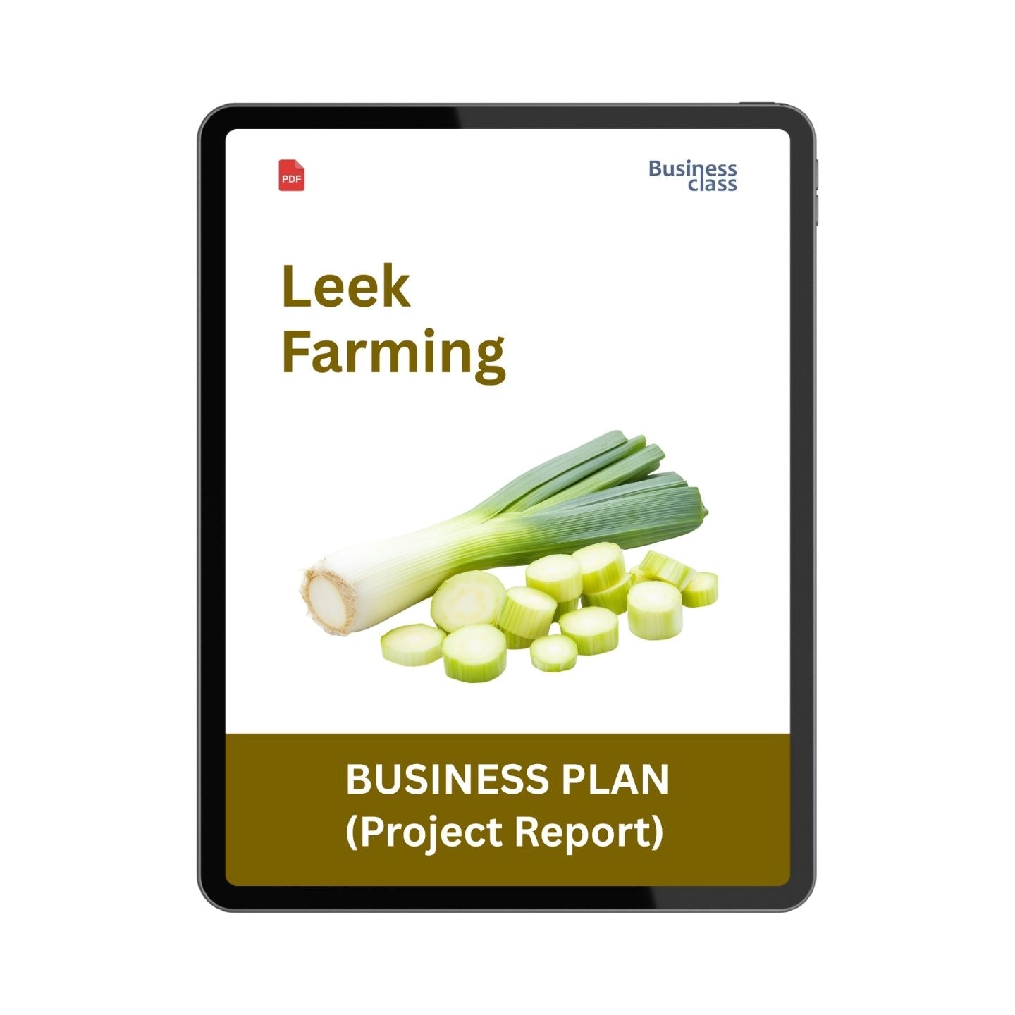 Leek Farming Project Report and Business Plan PDF eBook | Cost, Profit, Financial Projections and Startup Guide