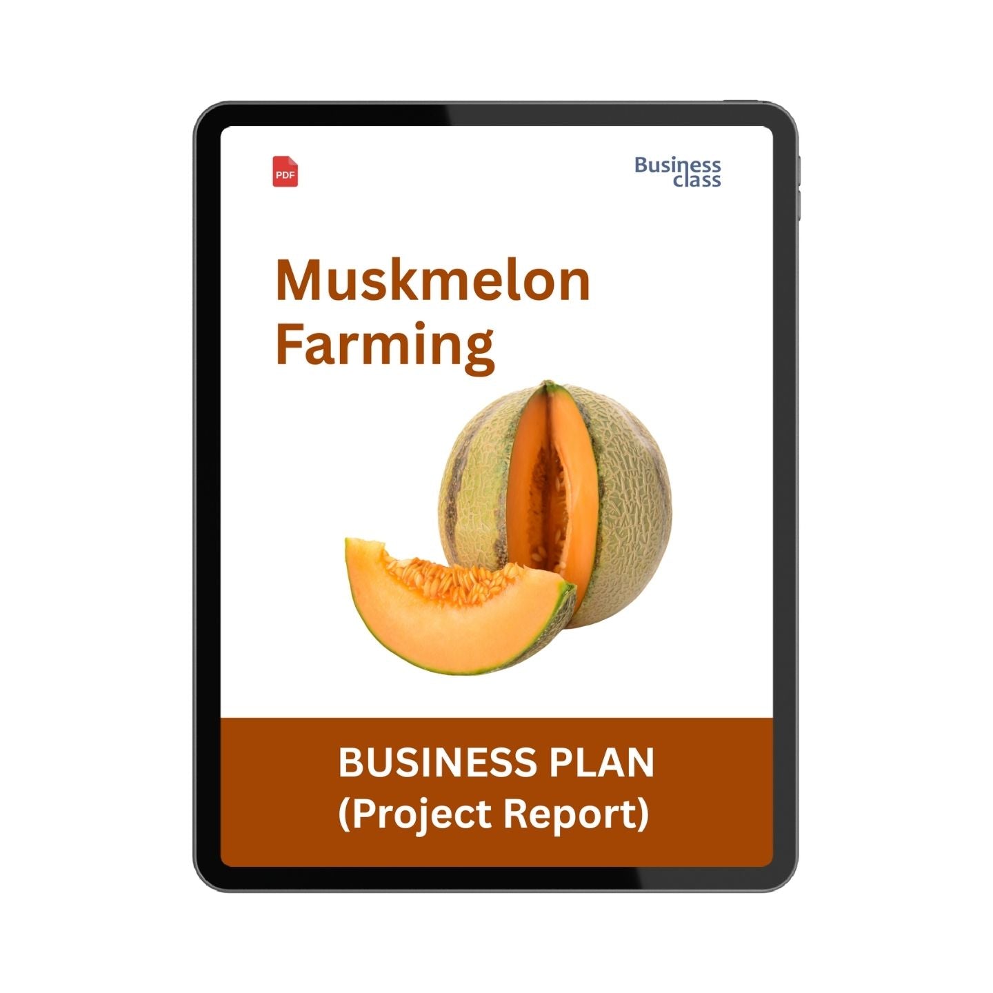 Muskmelon Farming Project Report & Business Plan PDF eBook | Cost, Profit, Yield, Cash Flow & Bank Loan Guide