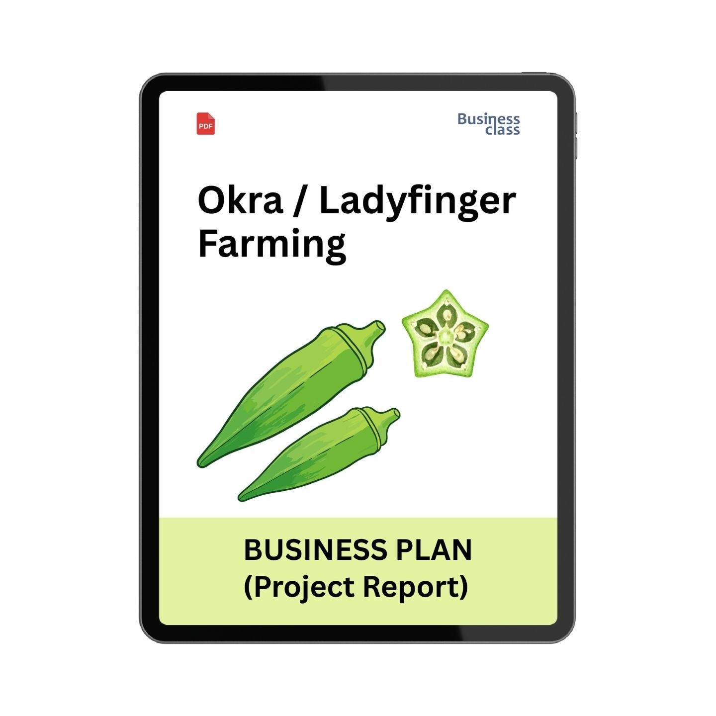 Okra Farming Project Report and Business Plan PDF Ebook | Ladyfinger Cultivation Cost, Profit, Yield & Bank Loan Guide