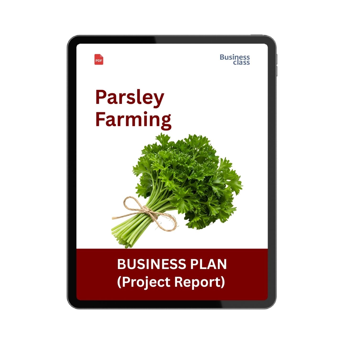 Parsley Farming Project Report and Business Plan PDF Ebook