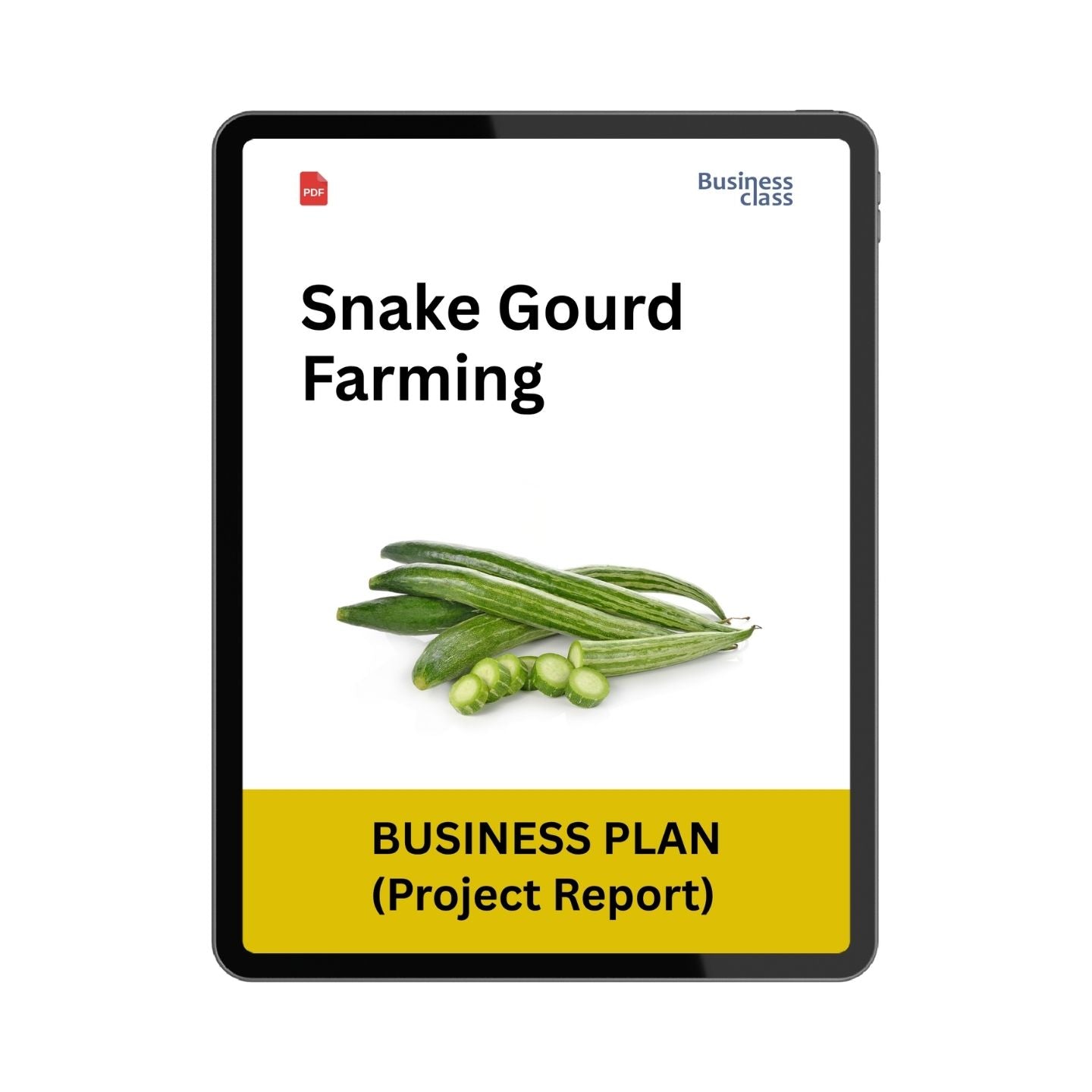 Snake Gourd Farming Project Report & Business Plan PDF Ebook
