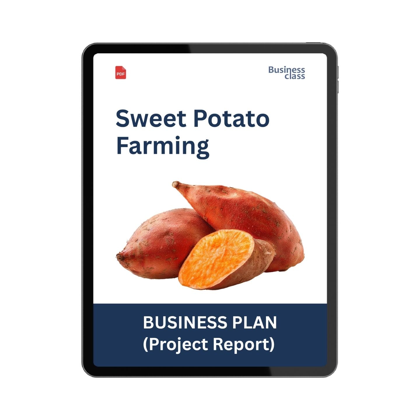 Sweet Potato Farming Project Report & Business Plan PDF | Cost, Profit, Cash Flow and Financial Plan