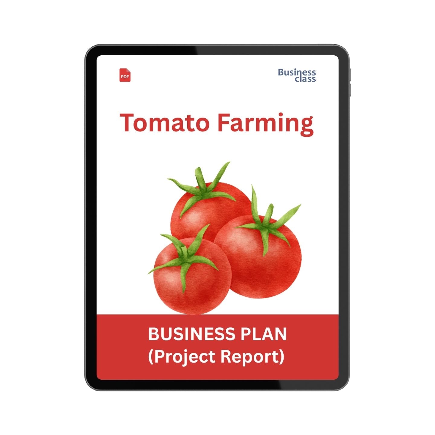 Tomato Farming Project Report and Business Plan PDF eBook