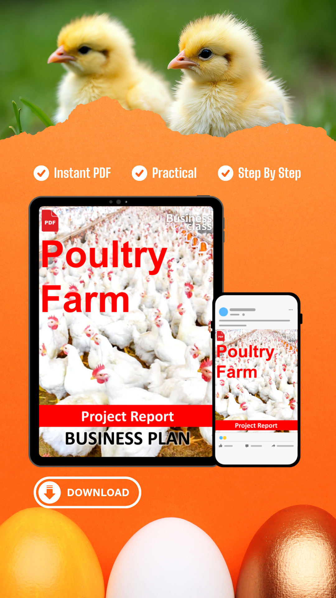 Poultry Farm Project Report and Business Guides Bundle