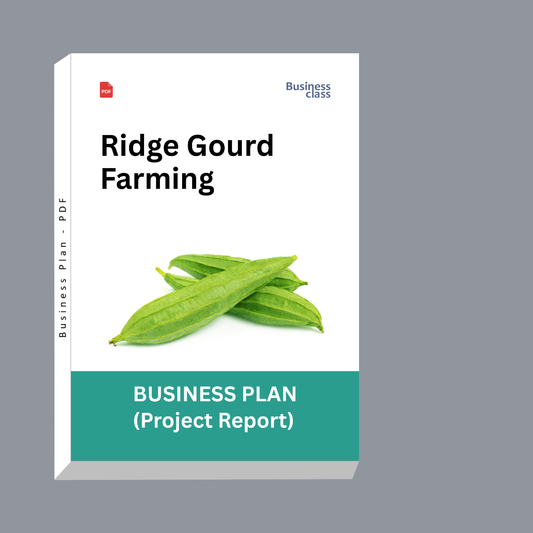 Ridge Gourd Farming Project Report and Business Plan PDF eBook