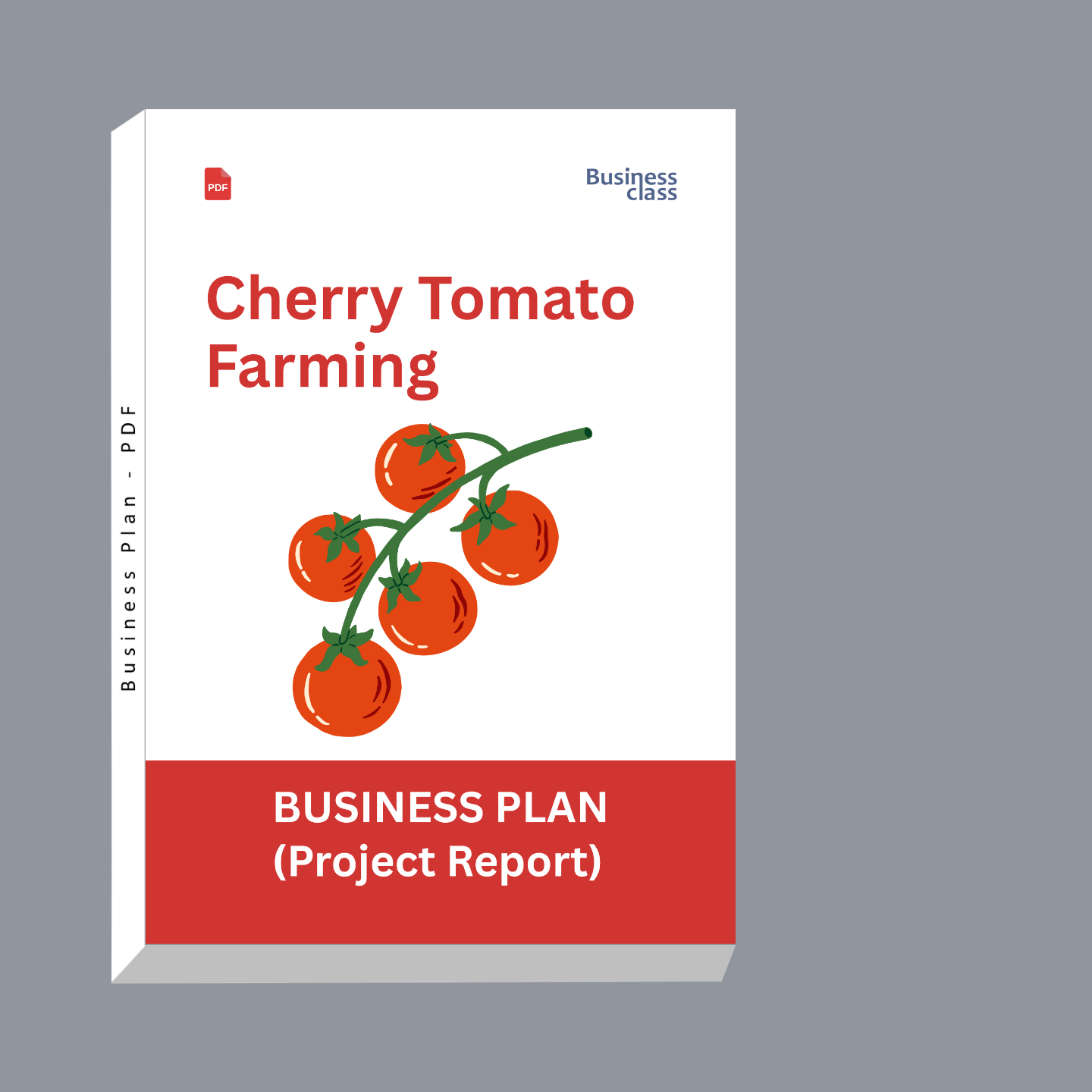 Cherry Tomato Farming Project Report & Business Plan PDF eBook