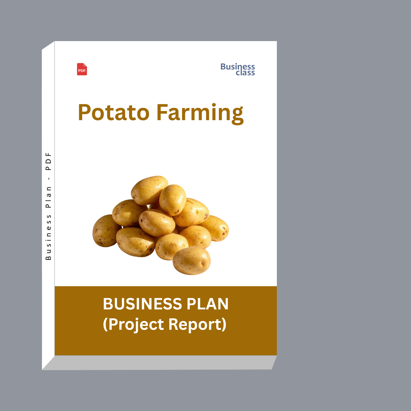 Potato Farming Project Report & Business Plan PDF Ebook