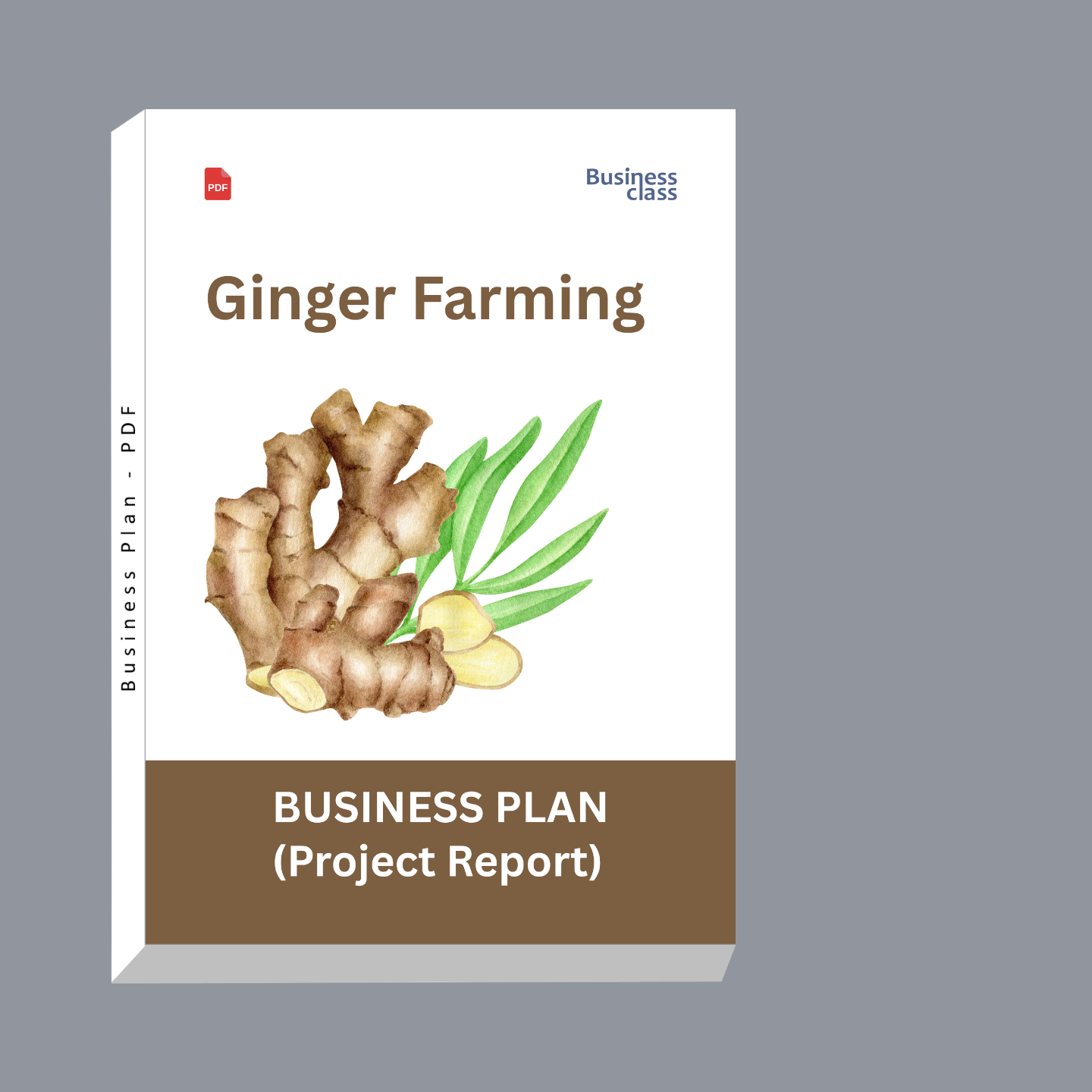 Ginger Farming Project Report & Business Plan PDF eBook | Costing, Cash Flow, Profitability & Startup Guide