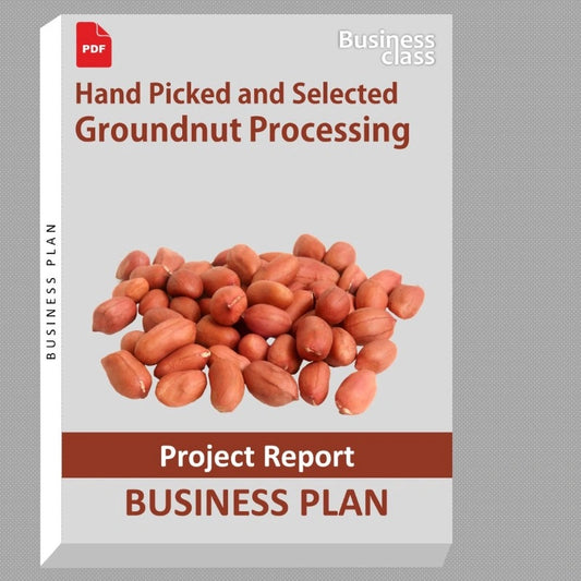 Hand Picked and Selected Groundnut Processing Project Report and Business Guides Bundle