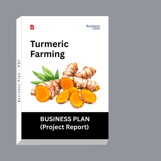 Turmeric Farming Project Report and Business Plan PDF Ebook
