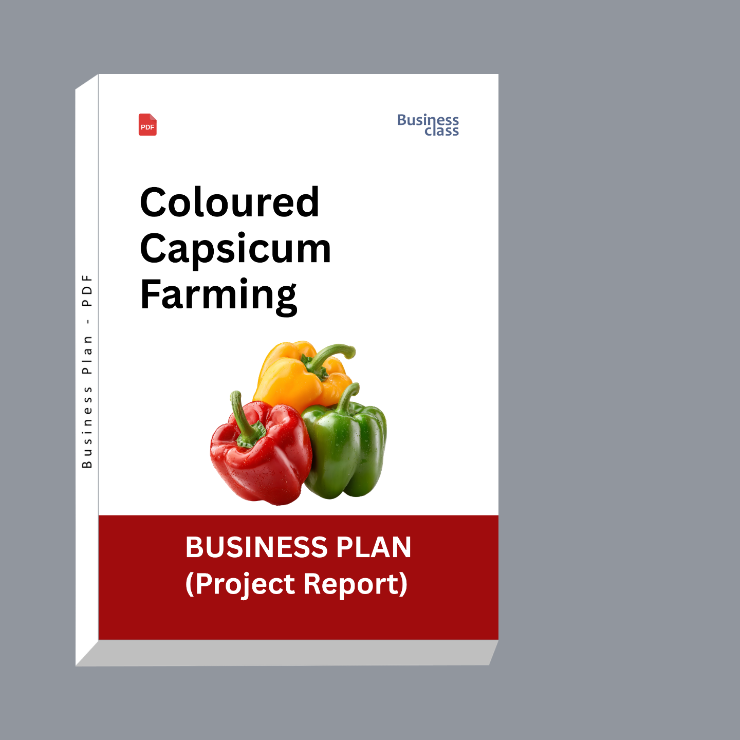 Coloured Capsicum Farming Project Report & Business Plan PDF